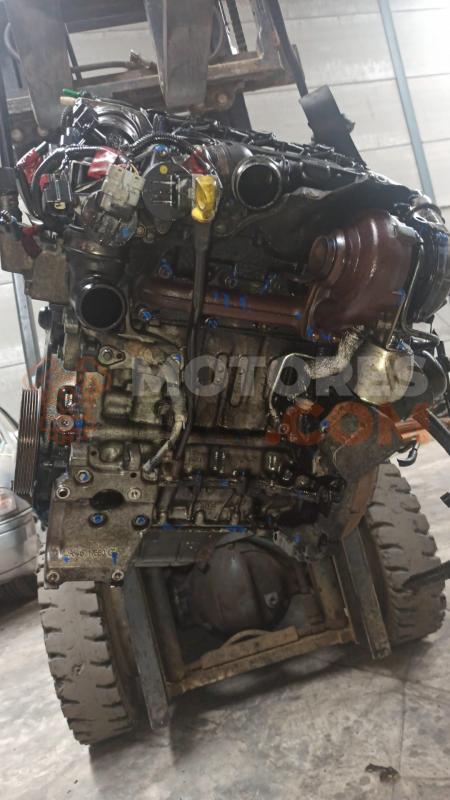 Motor G8DB Ford Focus II Hatchback 1.6 TDCi (90 cv)