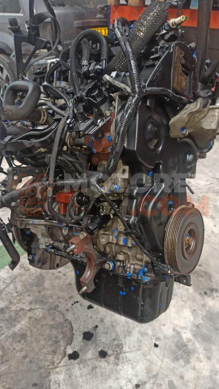 Motor G8DB Ford Focus II Hatchback 1.6 TDCi (90 cv)