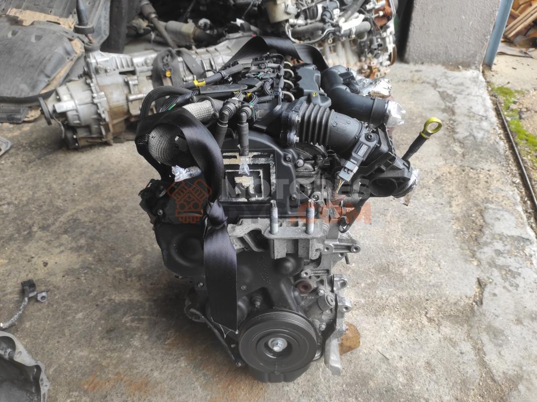 Motor G8DA Ford Focus II Hatchback 1.6 TDCi HP (109 cv)
