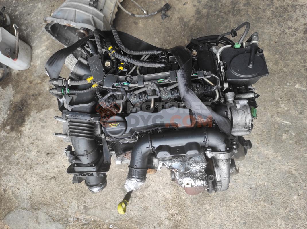 Motor G8DA Ford Focus II Hatchback 1.6 TDCi HP (109 cv)