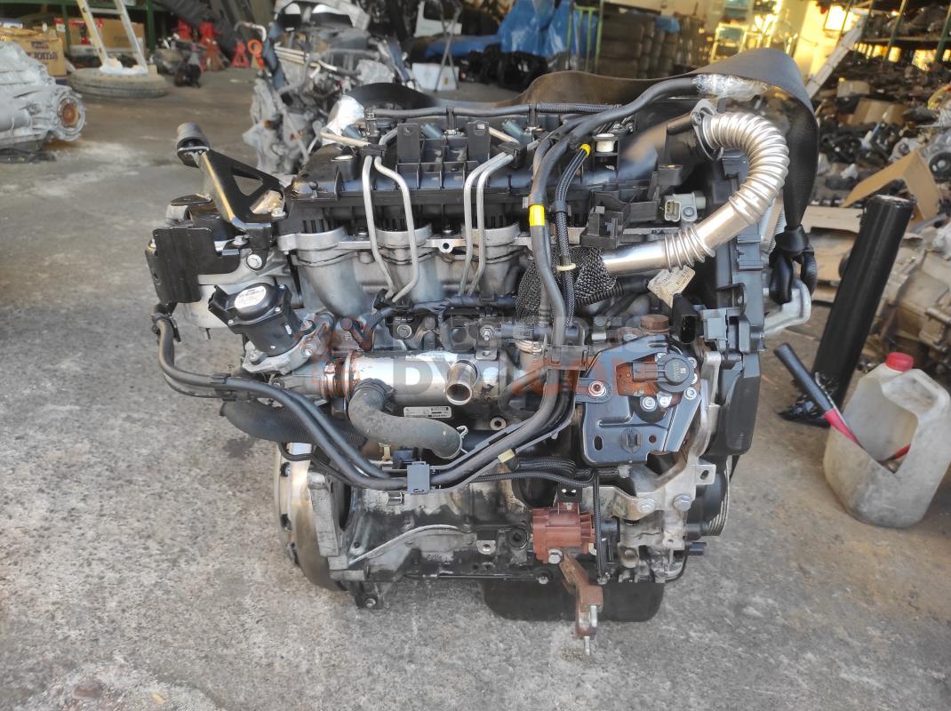Motor G8DB Ford Focus II Hatchback 1.6 TDCi HP (109 cv)