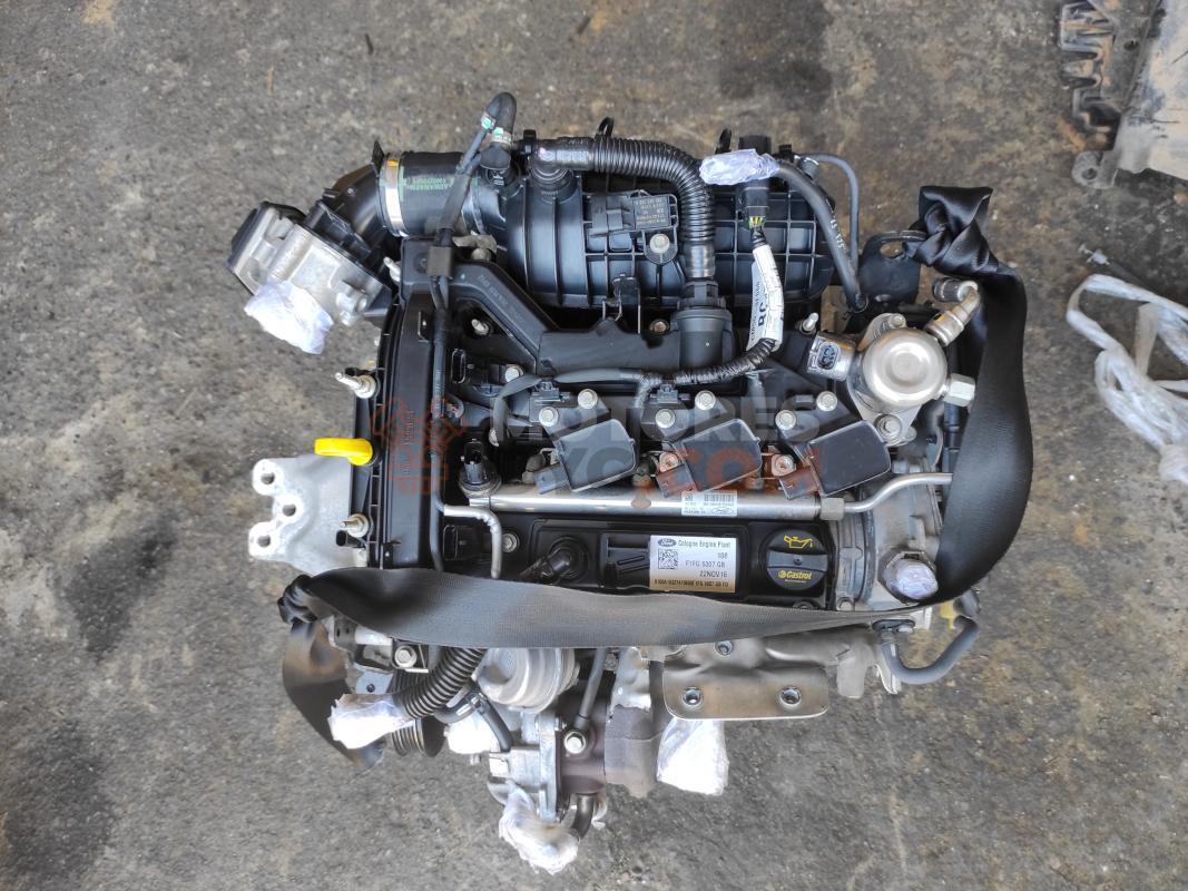 Motor M1DD Ford Focus III Hatchback (Versión 2014) 1.0 EcoBoost (125 cv) S&S