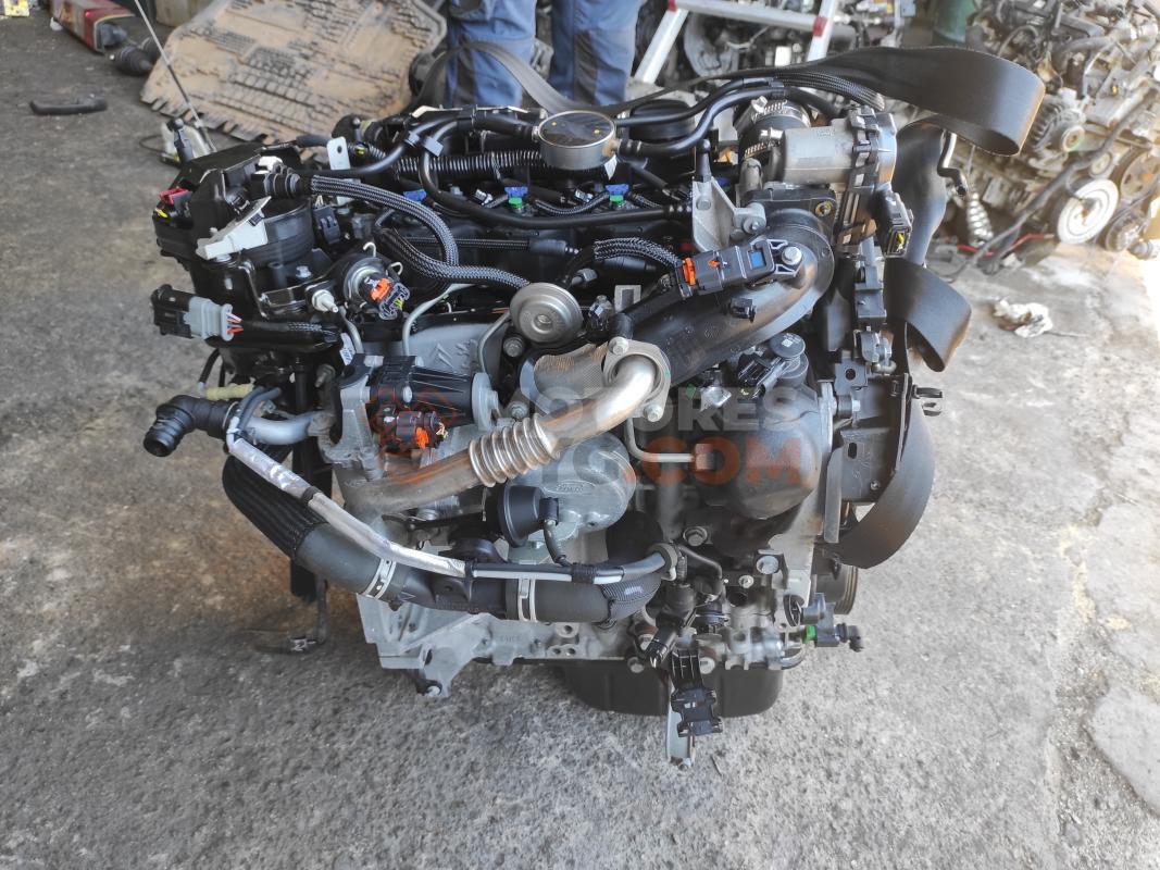 Motor XWDA Ford FOCUS III 2.0 TDCI (136 cv)
