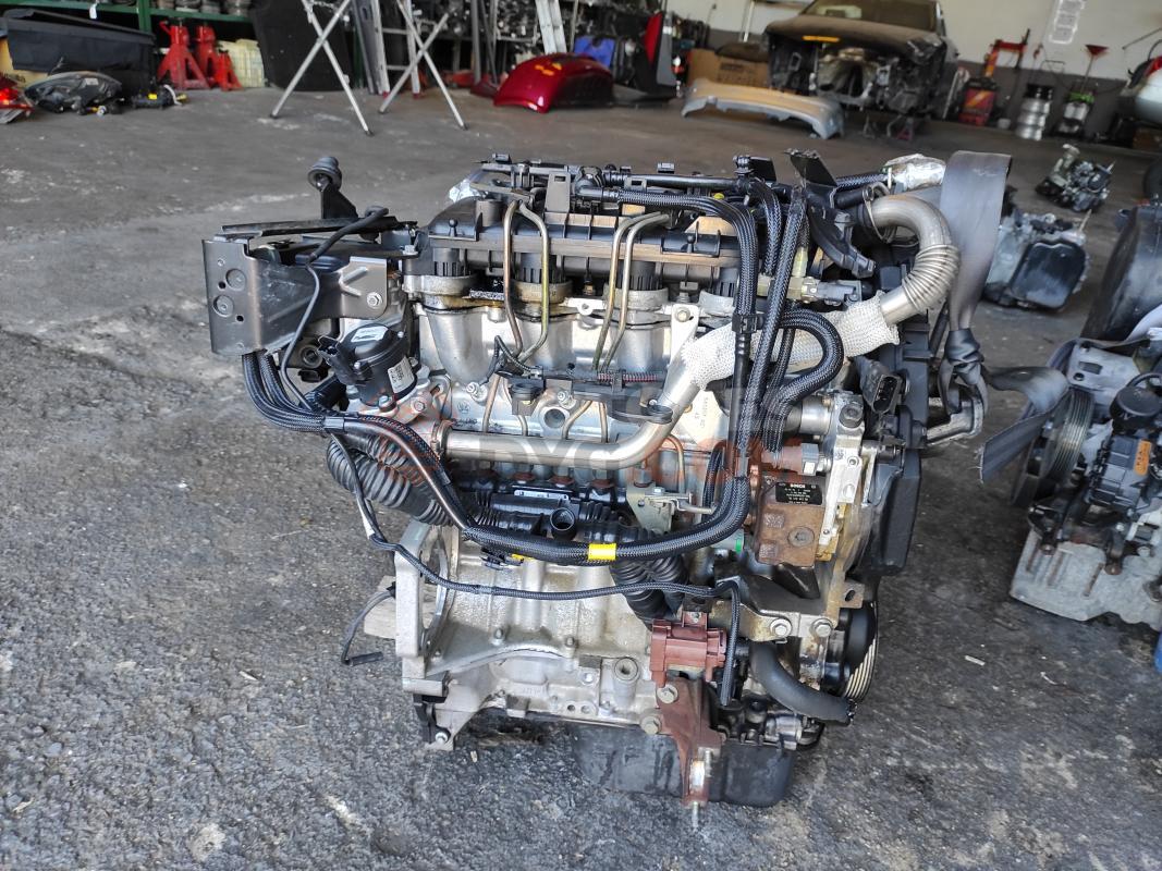 Motor G8DA Ford Focus Turnier II 1.6 TDCi  (110 CV)