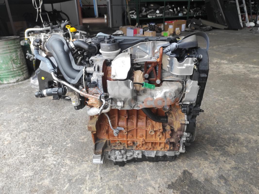 Motor T8MA Ford Kuga II (Versión 2016) 2.0 TDCI (180 cv) 4x4 PowerShift