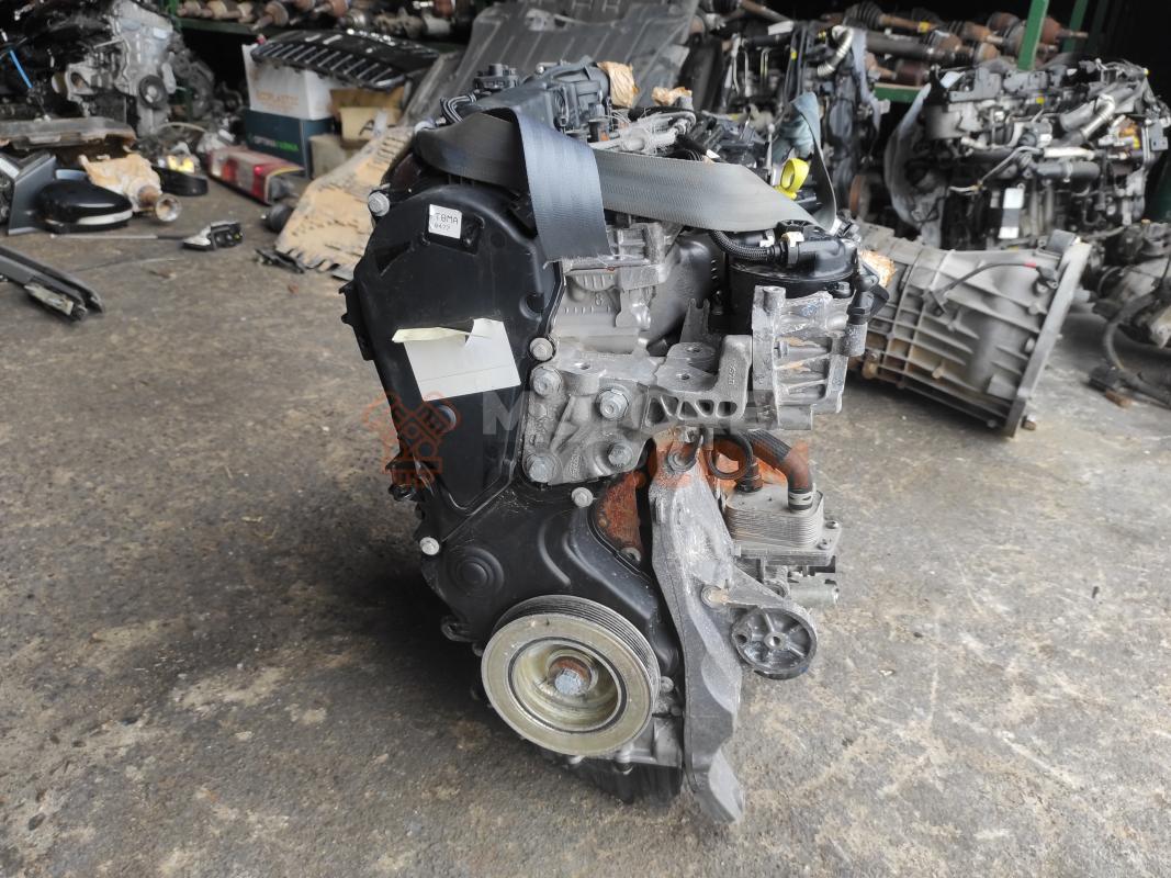 Motor T8MA Ford Kuga II (Versión 2016) 2.0 TDCI (180 cv) 4x4 PowerShift