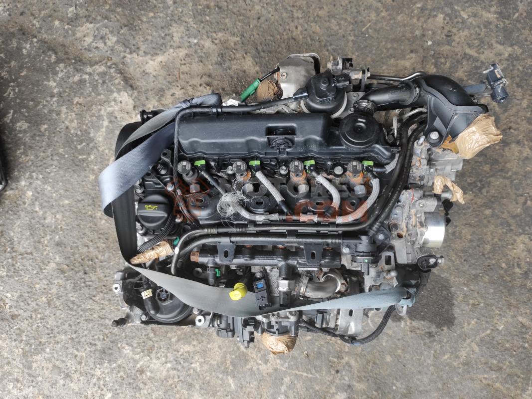 Motor T8MA Ford Kuga II (Versión 2016) 2.0 TDCI (180 cv) 4x4 PowerShift