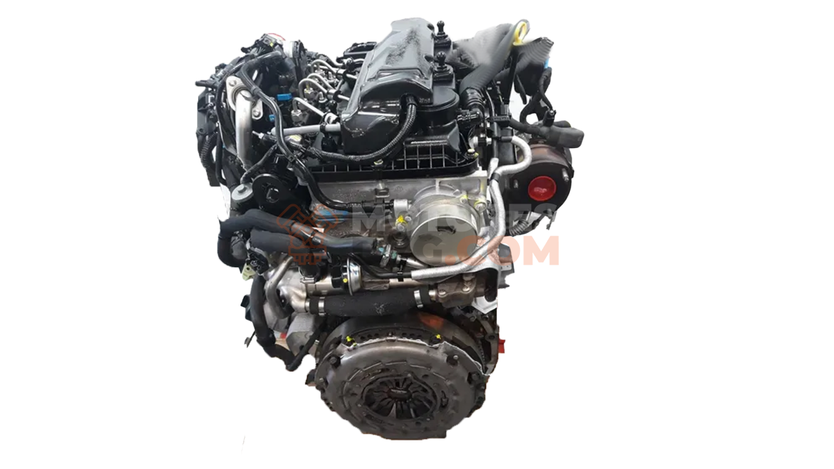Motor Ford RANGER (TKE) 2.0 EcoBlue 4x4 (170CV)