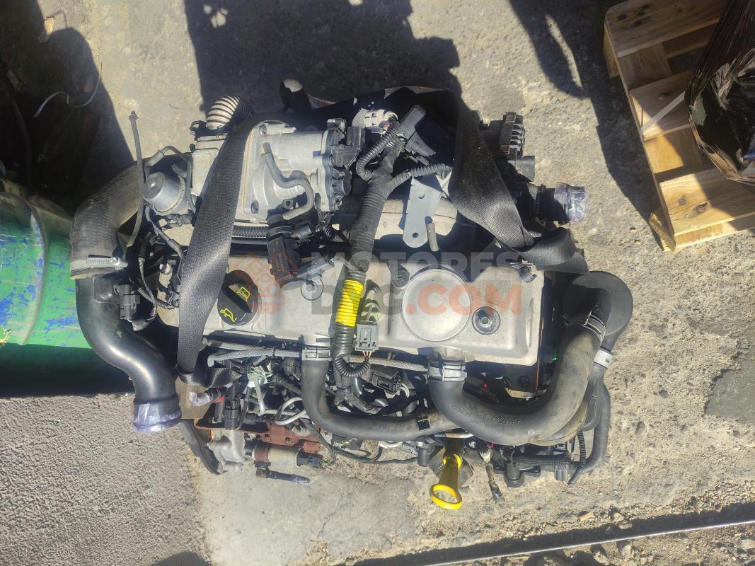 Motor P9PC Ford Transit Connect 1.8 TDCI (90 cv)