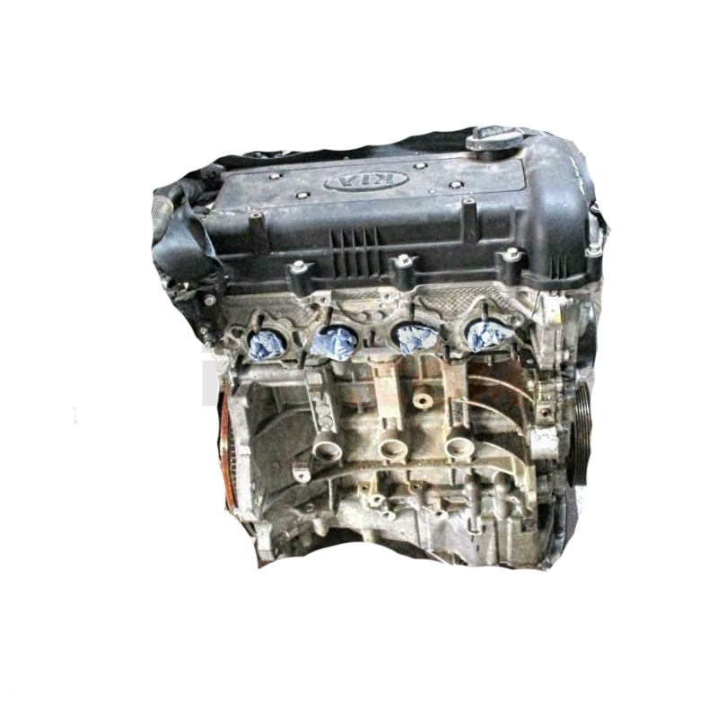 Motor G4FA Hyundai i20 (PB, PBT) 1.6 (126 cv)