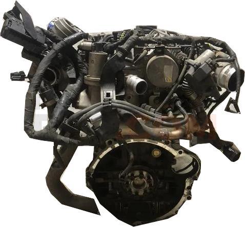 Motor G4JP Kia Mohave 3.8 24V V6 (274 cv)