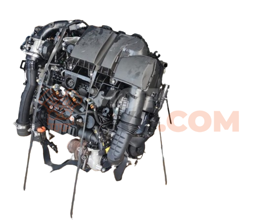 Motor G4LA Ford Focus Descapotable II 1.6 Duratec 16V (100 cv)