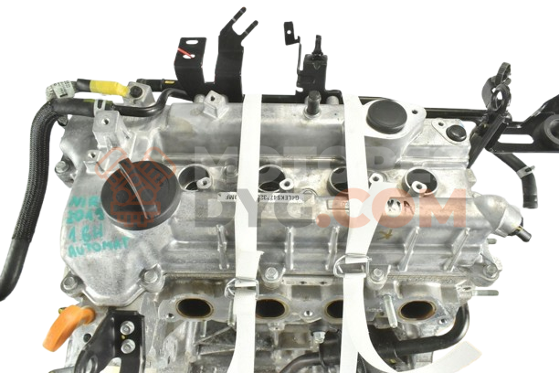 Motor G4LE Hyundai IONIQ (AE) (2016) 1.6 GDI Plug-in Hybrid (141 cv)