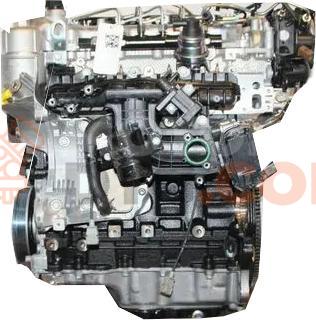 Motor G4NL Kia SPORTAGE V (NQ5) 2.0 MPI (156 cv)