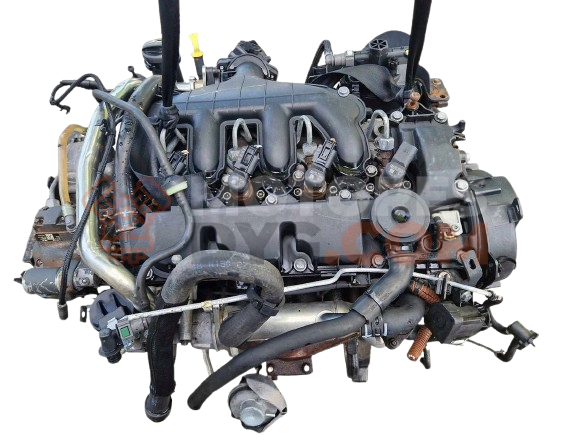 Motor G6DA Ford C-MAX II 2.0 Duratorq TDCi (140 cv) DPF Automatico