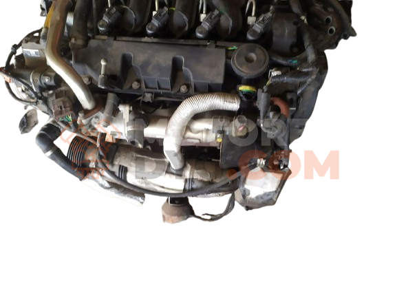 Motor G6DA Ford C-MAX (Versión 2007) 2.0 TDCI (136 cv)