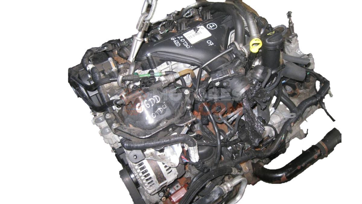 Motor g6dd Ford FOCUS C-MAX 2.0 (145 CV)