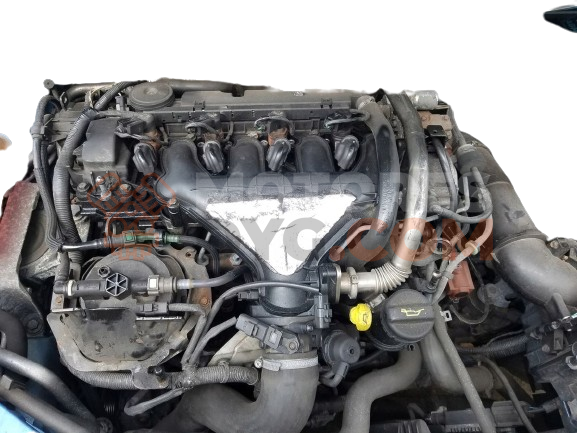 Motor g6dg Ford Kuga I 2.0 TDCi (136 cv)