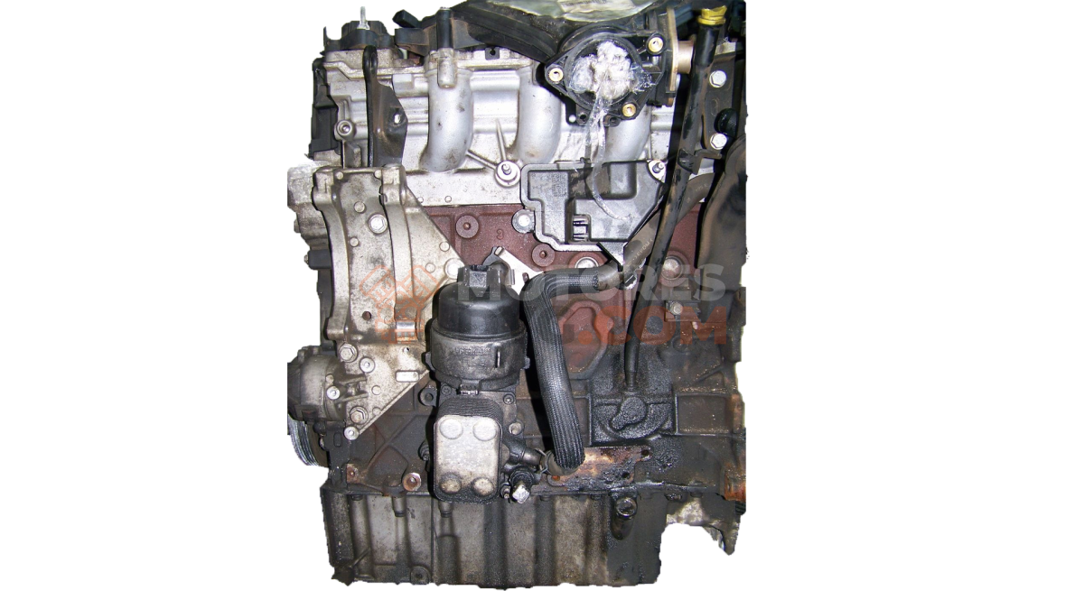Motor G6DG Ford Kuga I 2.0 TDCi (136 cv)