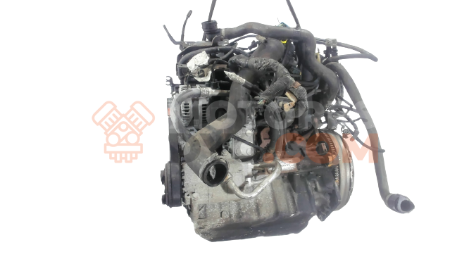 Motor G6DG; UKDA Ford Kuga I 2.0 TDCi (136 cv) 4x4