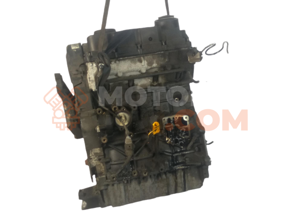 Motor G8D Ford Focus Descapotable II 1.6 Duratec 16V (100 cv)