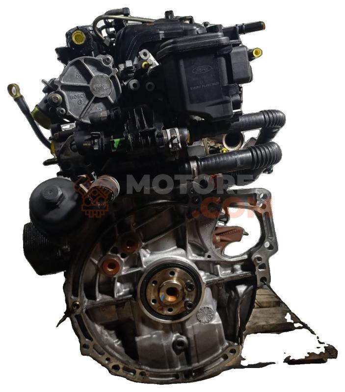 Motor G8DA Ford FOCUS C-MAX 1.6 TDCi  (109 CV)