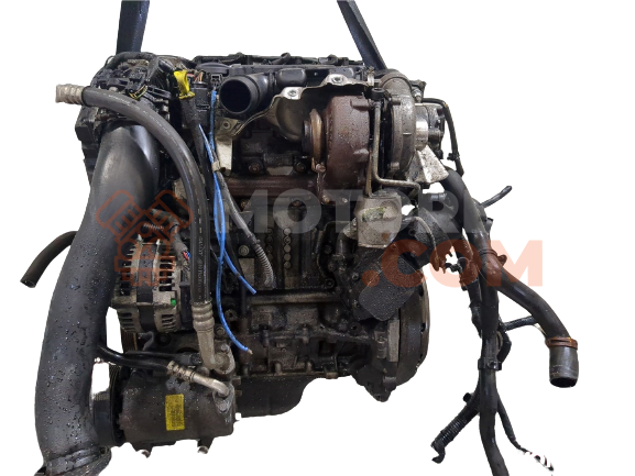 Motor G8DA Ford Focus II Sedan 1.6 Duratec 16V (100 cv) Automatico