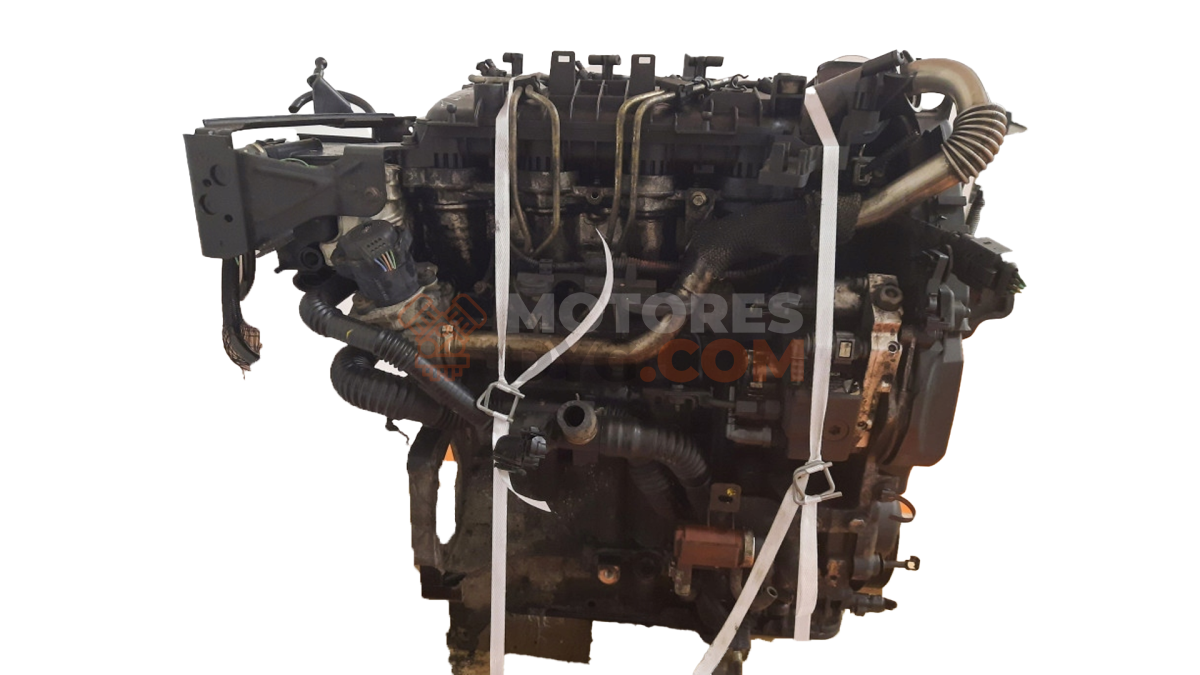 Motor G8DA Ford FOCUS III Turnier 1.6 TDCi  (95 CV)