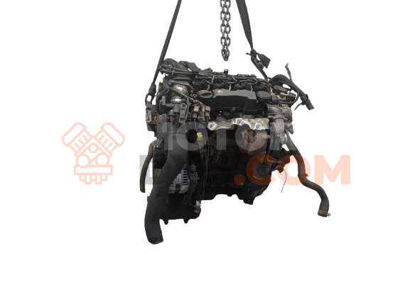 Motor G8DA, G8DB Ford Focus II Sedan 1.6 Duratec 16V (100 cv) MT