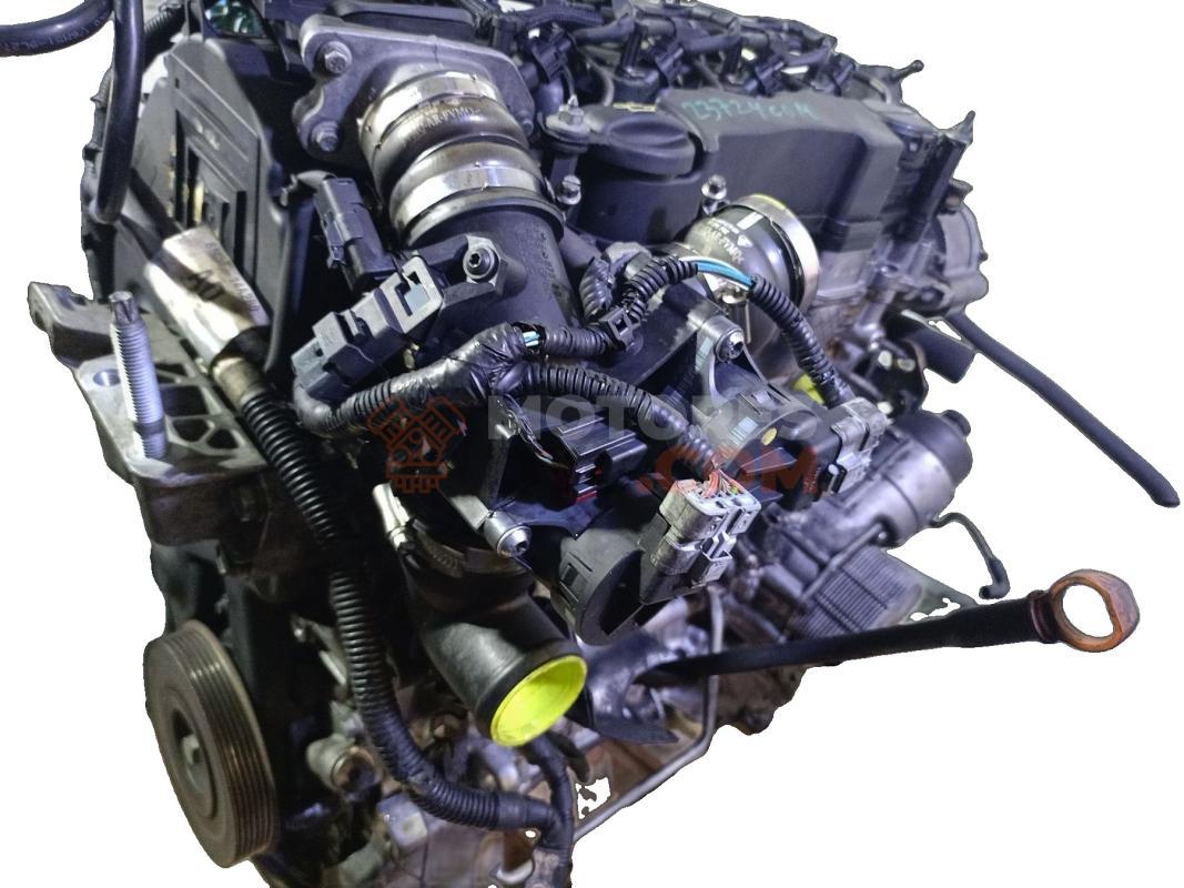 Motor G8DB Ford Focus II Hatchback 1.6 TDCi HP (109 cv)