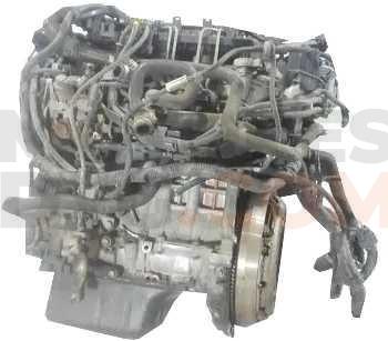 Motor G8DC Ford Focus II Hatchback 1.6 Duratec 16V (100 cv) Automatico