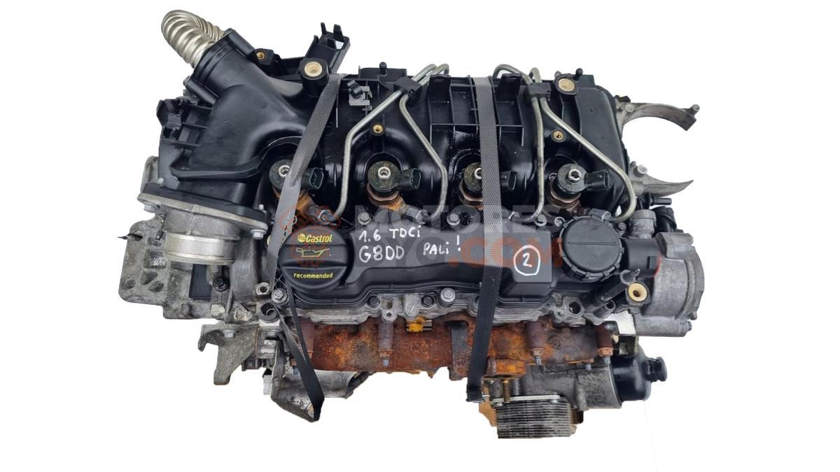 Motor G8DD Ford FOCUS C-MAX 1.6 TDCi  (109 CV)