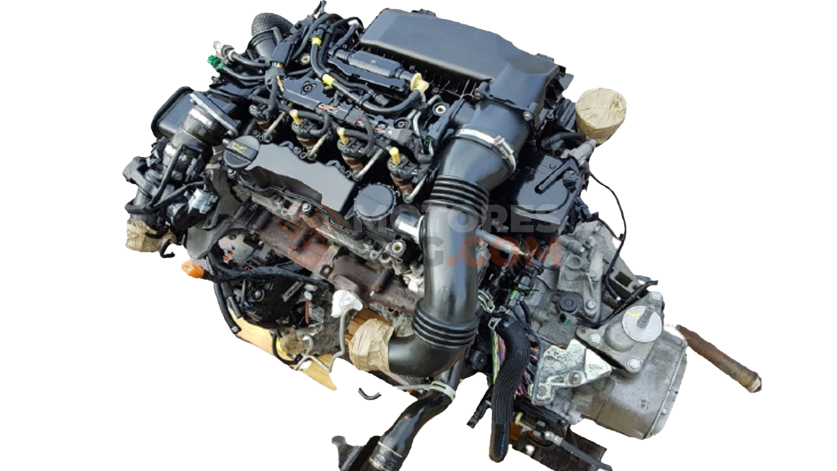 Motor G8DD Ford Focus II Sedan 1.6 TDCi HP (109 cv)