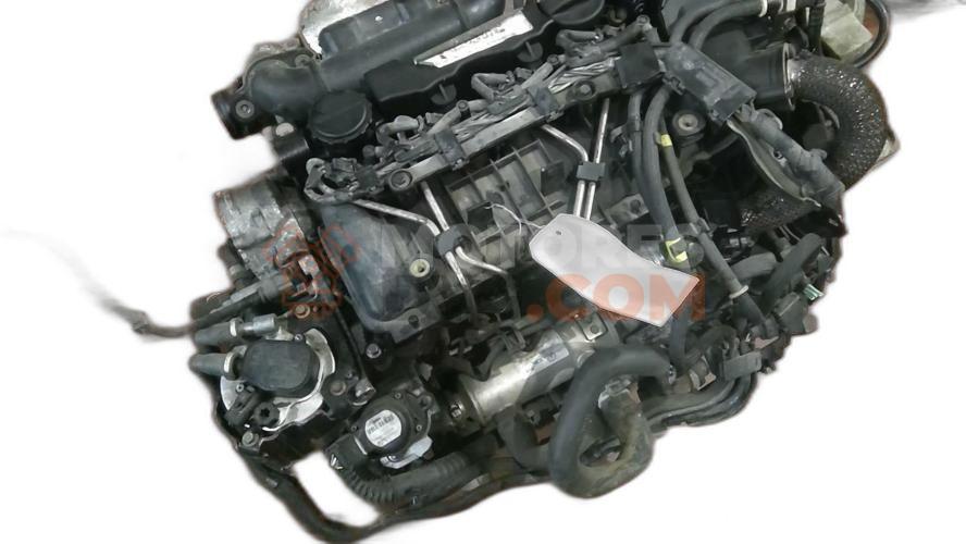 Motor G8DF Ford FOCUS II Furgón/ranchera familiar 1.6 TDCI (90 CV)