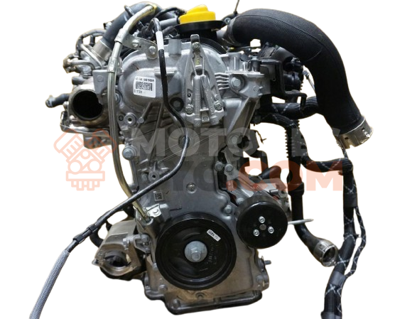 Motor H4D 480 Renault Captur II 1.0 TCe 90 ECO-G (91cv)