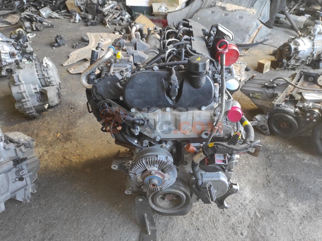Motor F1CF - F1CFL411H - F1CFL411HC Iveco Daily VI Caja/Chasis 35S17, 35C17, 40C17, 45C17, 50C17, 55C17, 65C17, 70C17 (170 CV)