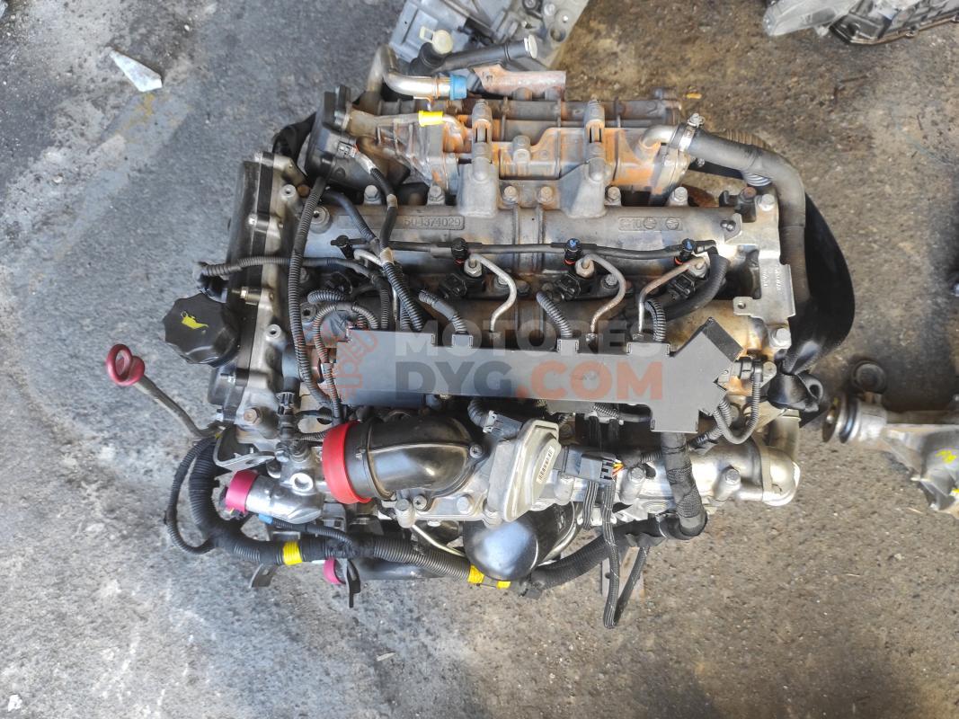 Motor F1CF - F1CFL411H - F1CFL411HC Iveco Daily VI Caja/Chasis 35S17, 35C17, 40C17, 45C17, 50C17, 55C17, 65C17, 70C17 (170 CV)