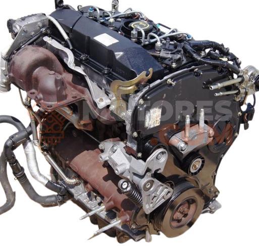 Motor JBD Ford Escort V (GAL) 1.3 (60 cv)