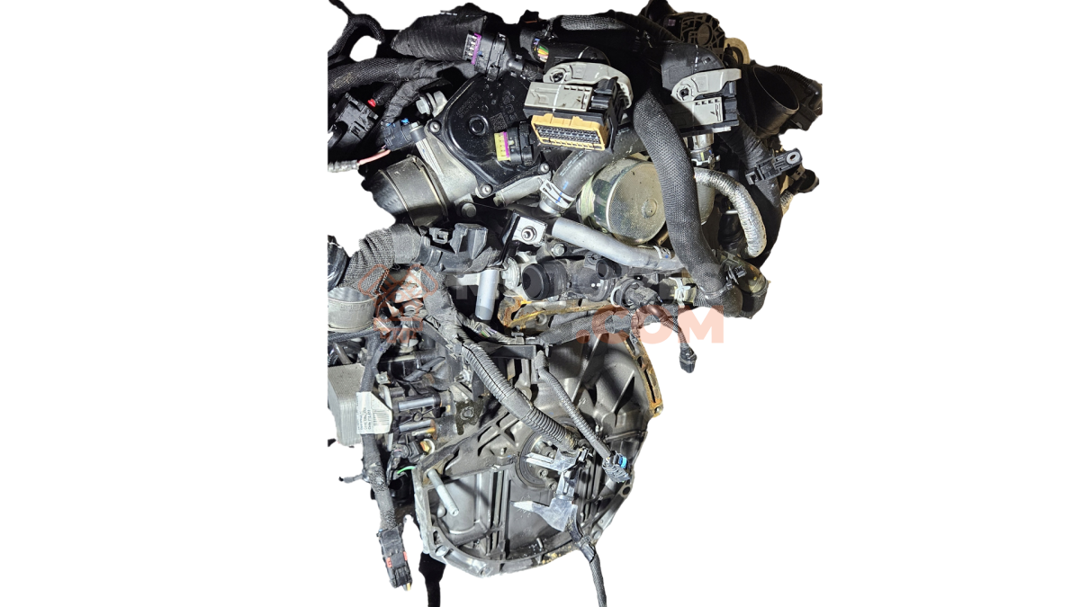 Motor K9K 876 Renault KANGOO III Furgoneta/monovolumen 1.5 Blue dCi 75 (FJAA) (75 cv)