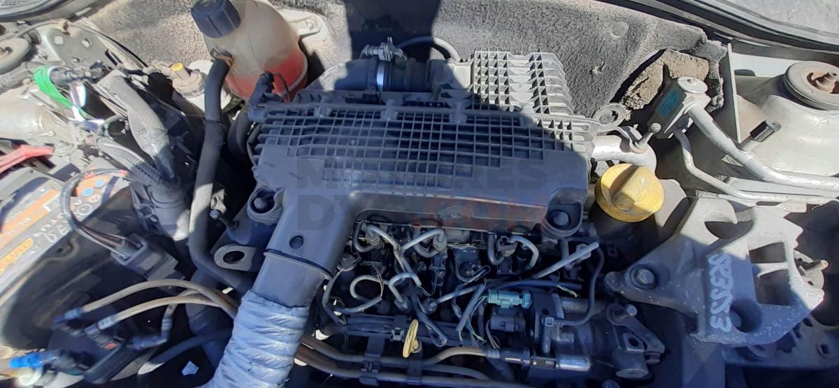 Motor K9K702 Renault Clio II 1.5 dCi (B/CB03) (80 cv)