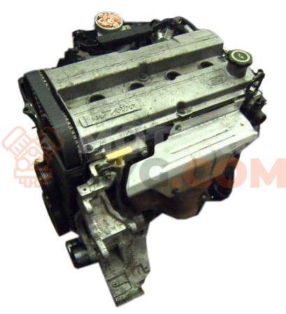 Motor L1H Ford Escort VII (GAL,AAL,ABL) 1.6 i 16V (90 cv)
