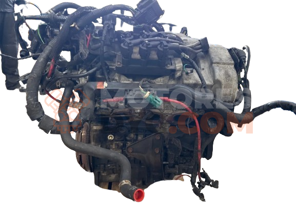 Motor LCBA Ford Cougar (BCV) 2.5 i V6 24V ST 200 (205 cv)