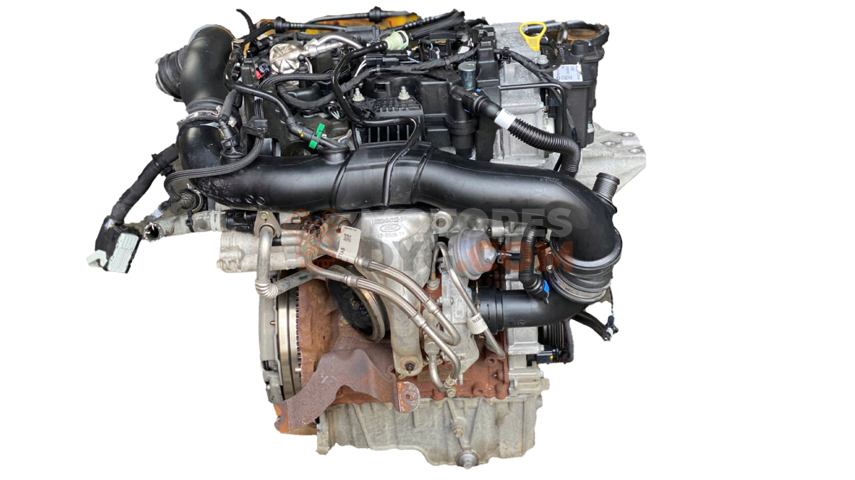 Motor M0JA Ford FIESTA VII (HJ, HF) 1.0 EcoBoost (95 cv)