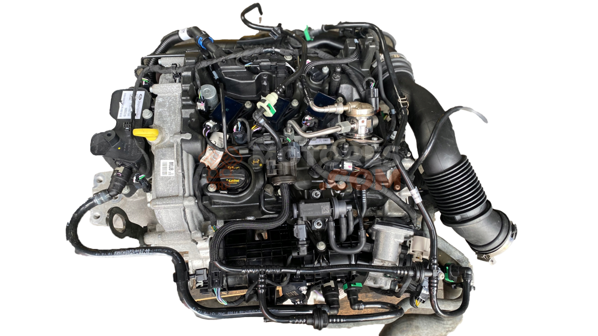 Motor M0JA Ford FIESTA VII (HJ, HF) 1.0 EcoBoost (95 cv)