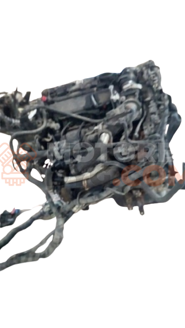 Motor M1DD Ford C-MAX II 1.0 EcoBoost (100 cv) S&S