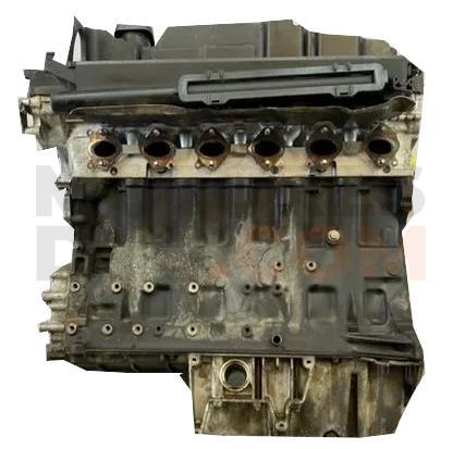Motor M47 D20 (204D4) Bmw Serie 5 (E60, Versión 2007) 520i (170 cv)