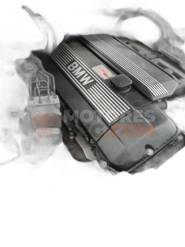 Motor M54B30,306S3 Bmw Z4 (E89) 30i 3.0 (258 cv) sDrive