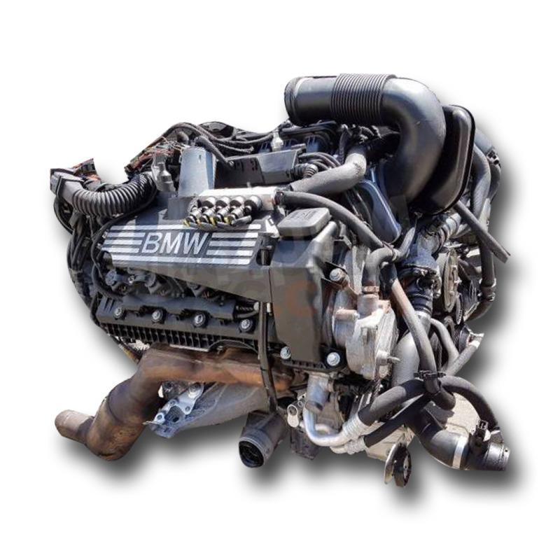 Motor M57 D30 (306D2) Bmw X5 (E53) 3.0d (218 cv)