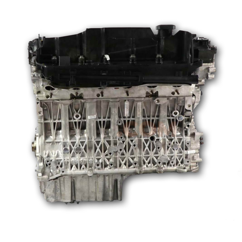 Motor M57 D30 (306D3) Bmw Serie 5 (E60, Versión 2007) 525d (197 cv)