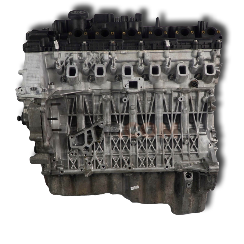 Motor M57 D30 (306D5) Bmw Serie 5 (E60, Versión 2007) 535d (286 cv) Automatico